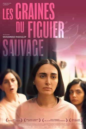Regarder Les Graines du figuier sauvage en streaming complet