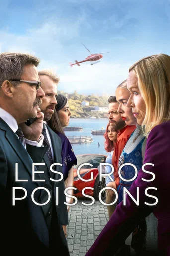 Regarder Les Gros Poissons en streaming complet