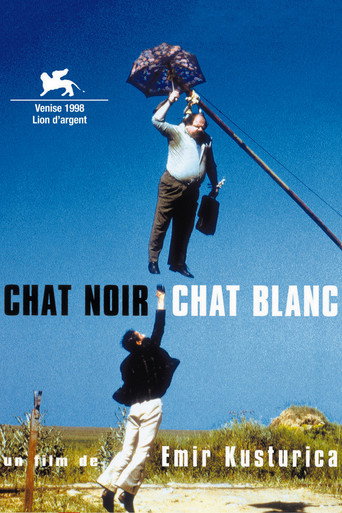 Regarder Chat noir, chat blanc en streaming complet